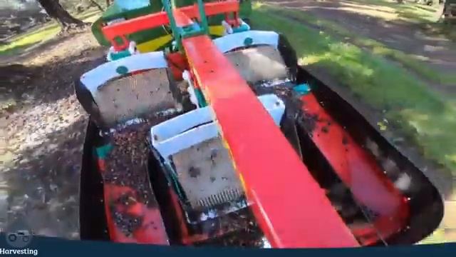 Самый дорогой в мире орех - Технология выращивания смотреть онлайн