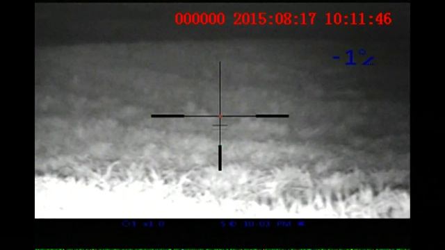Coyote No. 7 Hunting Pulsar Night Vision Digisight N850 LRF Quantum HD50S Hard Fought Female Coyote смотреть онлайн