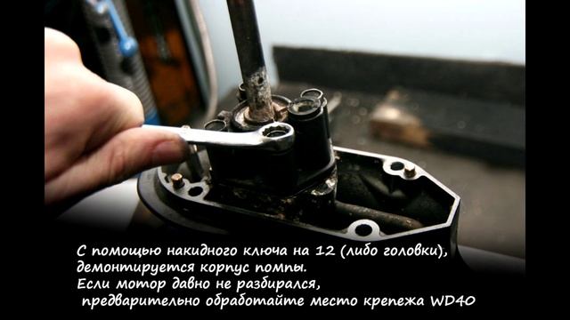Замена крыльчатки Suzuki DT15 смотреть онлайн