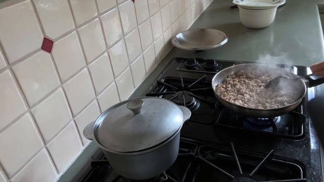 Готовим индюшатину. Как выжить в новом мире русскоязычному человеку? Elena from Canada смотреть онлайн