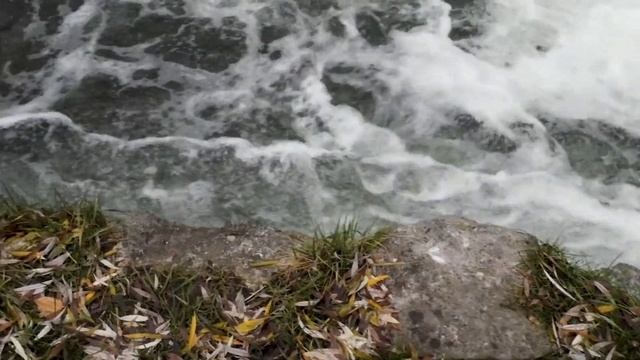 Relax/sleep/muzik/релакс/сон/отдых смотреть онлайн