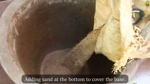 Pandanus Re-potting || Plant Care Tips || Sunlight, water, fertilizer смотреть онлайн