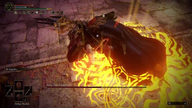 ELDEN RING™ 2022 - Mohg, Lord of Blood (No Damage) RL9 смотреть онлайн
