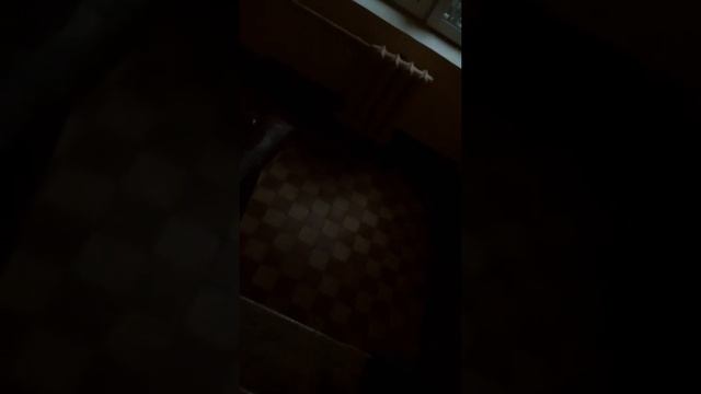 Подожгли коробку от пиццы в подъезде смотреть онлайн