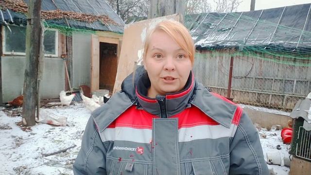 КАК ЗАРЕЗАТЬ ГУСЯ ПРОСТО/ СМОЖЕТ ДАЖЕ ЖЕНЩИНА/ВЕС ГУСЕЙ В 6 МЕС