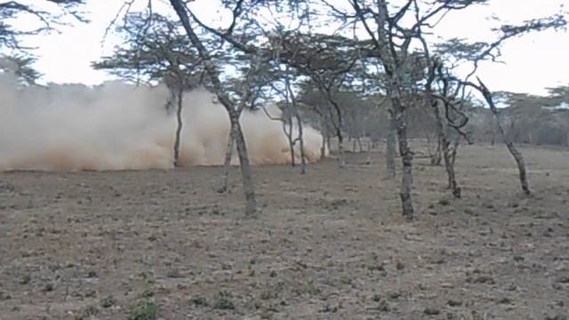 WRC KENYA 2022 in Oserian Conservancy. FORD PUMA RALLY 1!!! смотреть онлайн