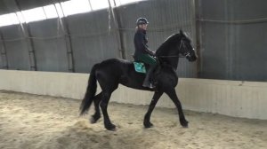 Подъем лошади в галоп