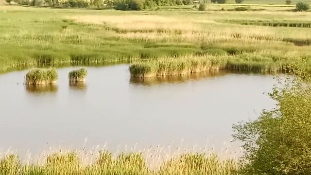 Река левый бейсужек Кубань. смотреть онлайн