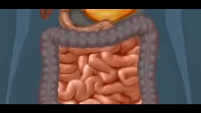 Идеальная фигура-заменитель еды смотреть онлайн