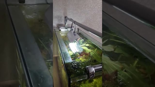 Стойка для прожектора в аквариум своими руками. смотреть онлайн