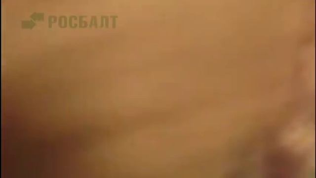 Львы во Львове