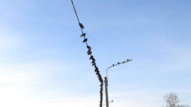 Рождественский марафон ч.4 / Белокуриха смотреть онлайн