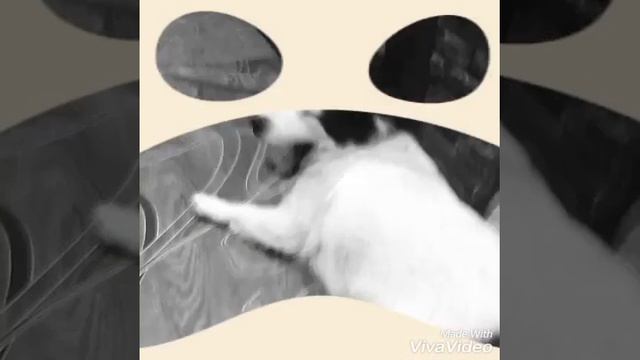 Чья это попа??? Беллина попа!!!😝😊 смотреть онлайн