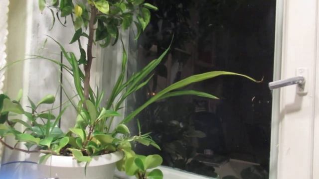 Вот и вечер...