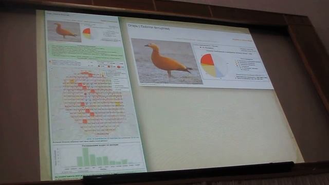 Атлас птиц Москвы: обновление интерактивной версии, А.А. Морковин смотреть онлайн