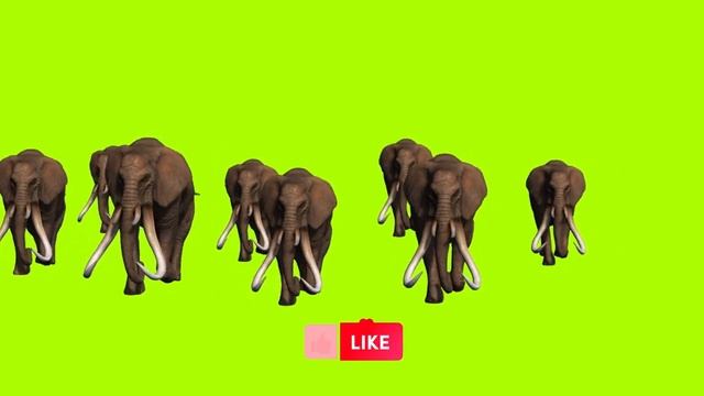 Running Elephants Green Screen Effects II Green Screen Effects II Elephant смотреть онлайн