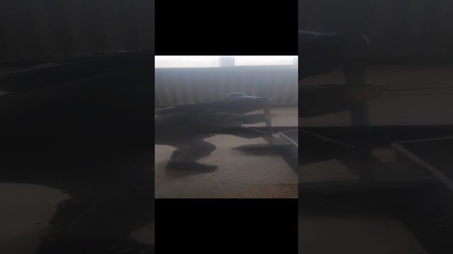 1000009991.mp4 Богдан смотреть онлайн