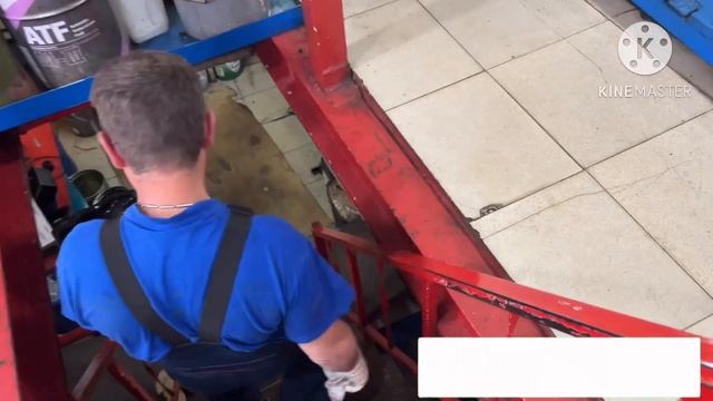Авторынок Зеленый Угол Техническое обслуживание SUZUKI HUSTLER Клиенту Замена всех жидкостей и т.д смотреть онлайн