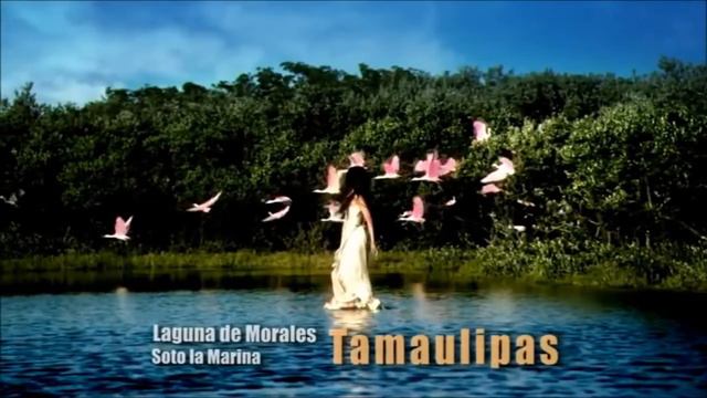 Спокойная, красивая, потрясающая музыка. Клипы HD!!! Chill Out BEST смотреть онлайн