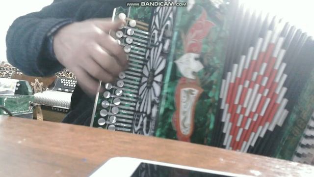 Карело финская полька от Vasili Popozoglo(творчество моих подписчиков). смотреть онлайн