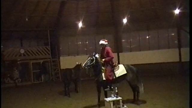 Новогодняя ночь 2010 смотреть онлайн