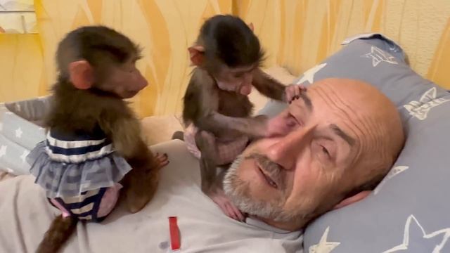 Степашка и Маняшка связали папу Влада по рукам и ногам))) смотреть онлайн