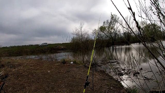 РЫБАЛКА В ЗАТОНЕ НА КРУПНОГО КАРАСЯ . ВЕЧЕРНЯЯ РЫБАЛКА НА ПОПЛАВОК !!! смотреть онлайн