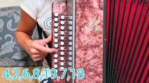 Тонкая рябина - разбор на гармони