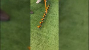 Тяпка, Плоскорез Торнадика, Металл, 100 см