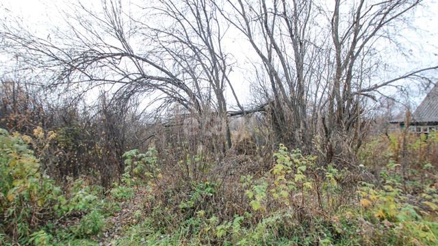 8439618 смотреть онлайн