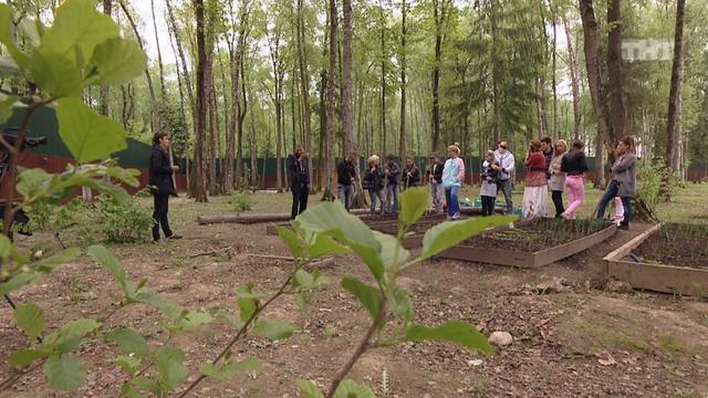 ДОМ-2 Lite 4397 день Дневной эфир (24.05.2016)