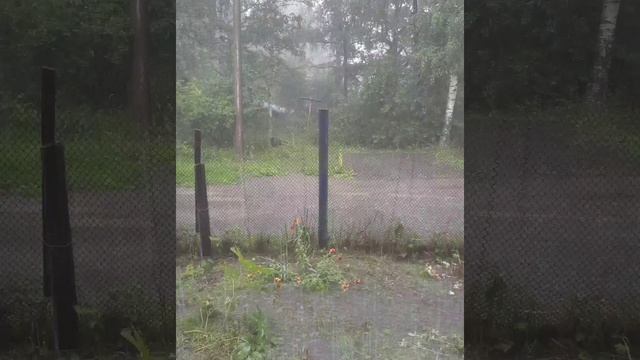июльский дождь смотреть онлайн