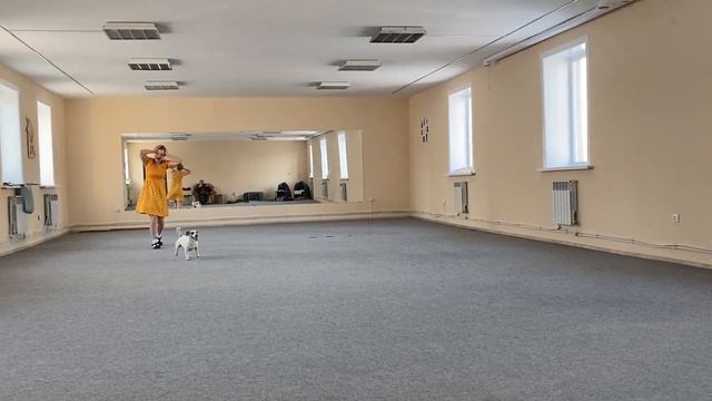 Танцы с собаками Dog dance Тимошина Светлана & Гувер.Танец"А я милого узнаю..."Тренировка 31.01.202 смотреть онлайн