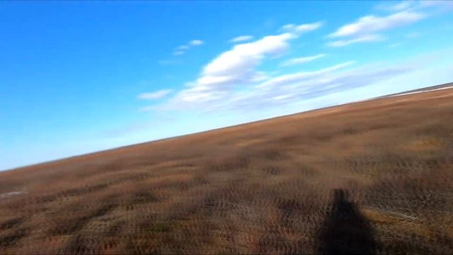 First day of goose hunting. Vorkuta. Первый день охоты на гуся. Воркута. смотреть онлайн