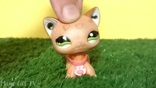 LPS TAG: Плюсы и Минусы популярности смотреть онлайн