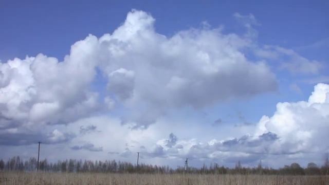 Евгений Данилов НЕБЕСНЫЕ ПАСТУХИ (музыка Е.Данилов, слова В.Стельмах). Монтаж - Т. Северинова. смотреть онлайн