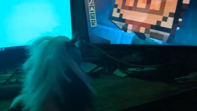 Канал игры для всех игры на море игры видео игры на даже на компьютерах и живые игры смотреть онлайн