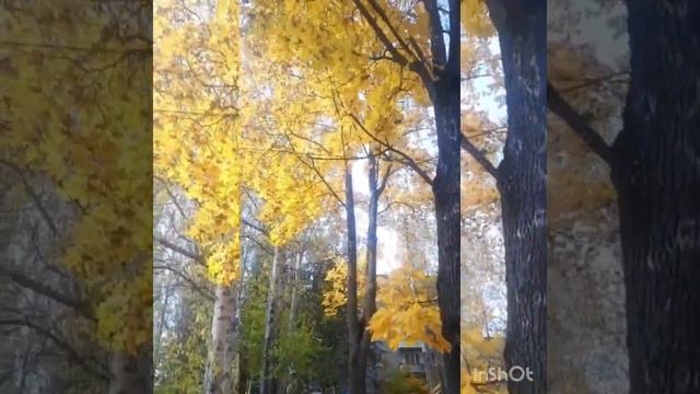 14 июня 2022 г. смотреть онлайн