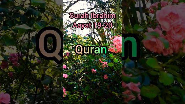 Surah Ibrahim aayat 19-20#islamicstatus #shortvideo смотреть онлайн