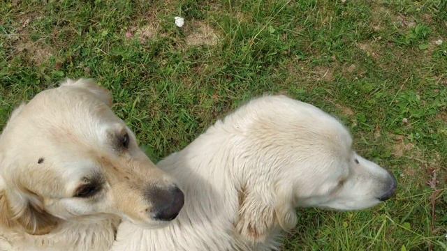 23 июня 2019 г. смотреть онлайн