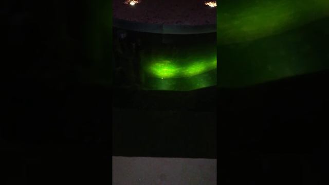 пруд с рыбами в парке г.Краснодара смотреть онлайн