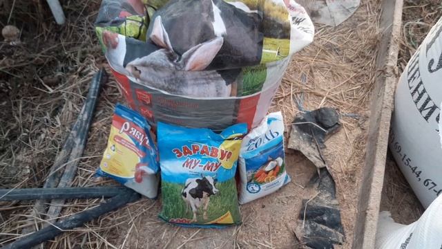 Если Вы только купили коз, что делать? смотреть онлайн