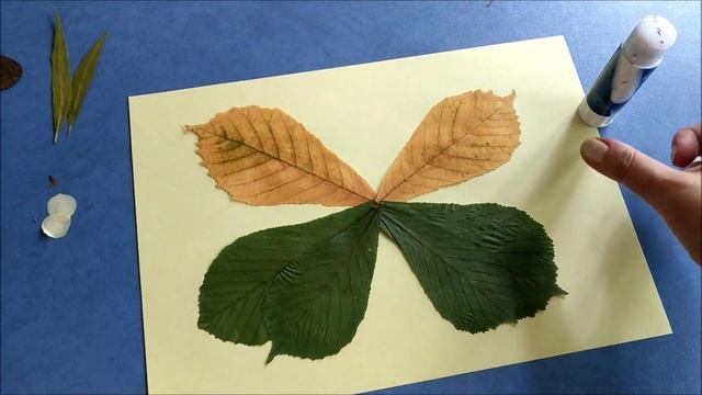 Осенняя поделка из листьев - Бабочка | Autumn leaf craft смотреть онлайн