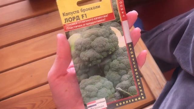 Огромный урожай огурцов