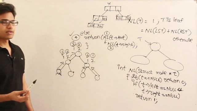 P and DS | Trees | Recursive program to count the number of leaves and non leaves | RBR смотреть онлайн