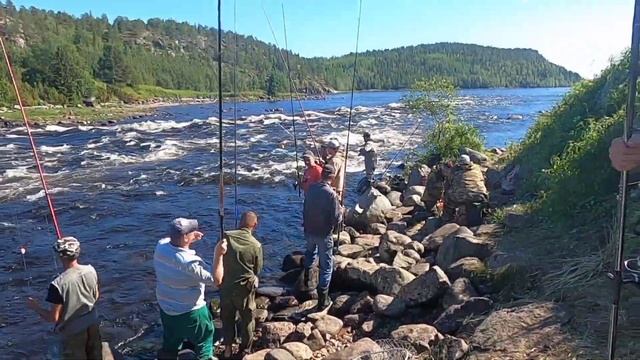РЫБАЛКА. Даже дети ловят ГОРБУШУ на р. УМБА. "Even children catch PINK SALMON on the UMBA River." смотреть онлайн