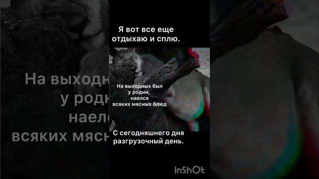 Мир животных! Леопард. Лев. Верветка. фотоснимки:az Buka .
