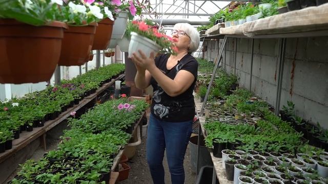 ЛУЧШИЕ СОРТА ПЕТУНИИ СЕЗОНА 2020. ОБЗОР САМЫХ КРАСИВЫХ смотреть онлайн