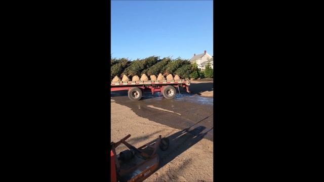 The Will Git R Done Tree Farm смотреть онлайн