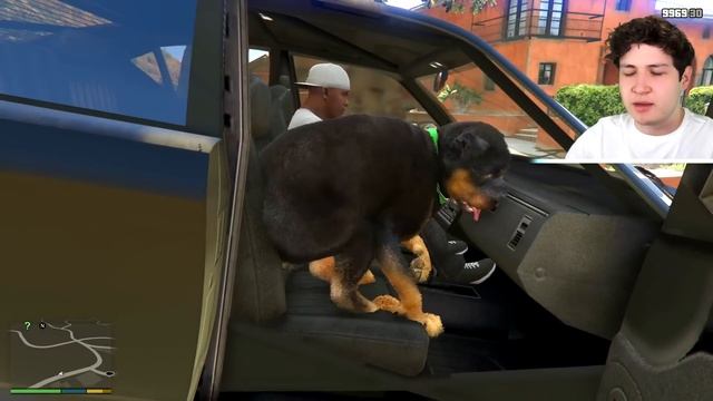 CHOP CONSIGUE NOVIA en GTA 5! ?? (Mods) смотреть онлайн